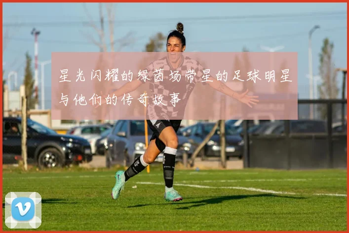 星光闪耀的绿茵场带星的足球明星与他们的传奇故事