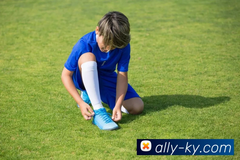 App Interface Preview