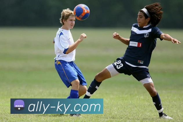 开云appAPP 封面图